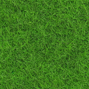 Grass21