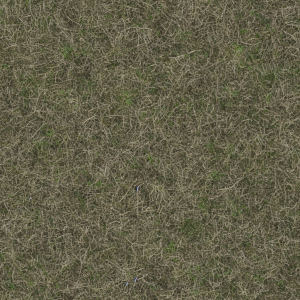 Grass286