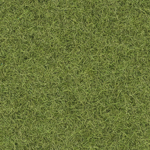 Grass353