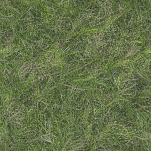 Grass394