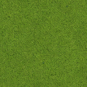 Grass441