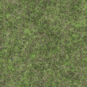 Grass474