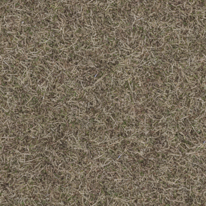 Grass532