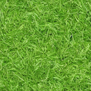 Grass535