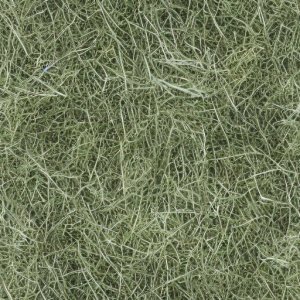 Grass568