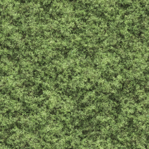 Grass608